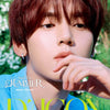 A close-up portrait of a young man with reddish-brown hair wearing a bright blue shirt, with large yellow text reading 'D'ICON' and white text reading 'And The Summer AND2BLE HAN YUJIN' over the lower portion. The background is softly blurred green foliage.