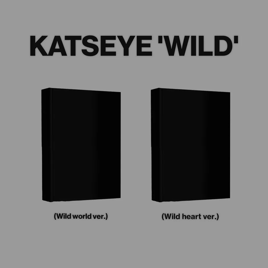 Two black boxes labeled 'Wild world ver.' and 'Wild heart ver.' on a gray background with 'KATSEYE' at the top.