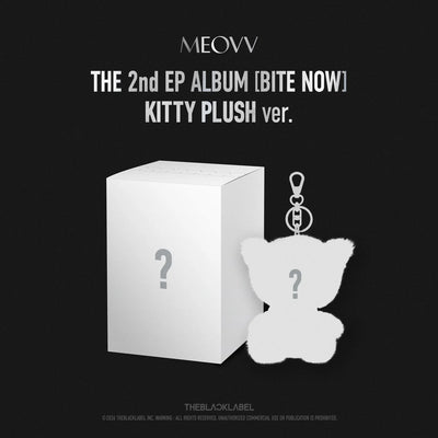 MEOVV's album packaging with kitty plush keychain and box on a black background