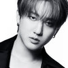 DICON VOLUME N°21 STRAY KIDS : SECRET KIDZ - Cover : STRAY KIDS CHANGBIN TYPE B