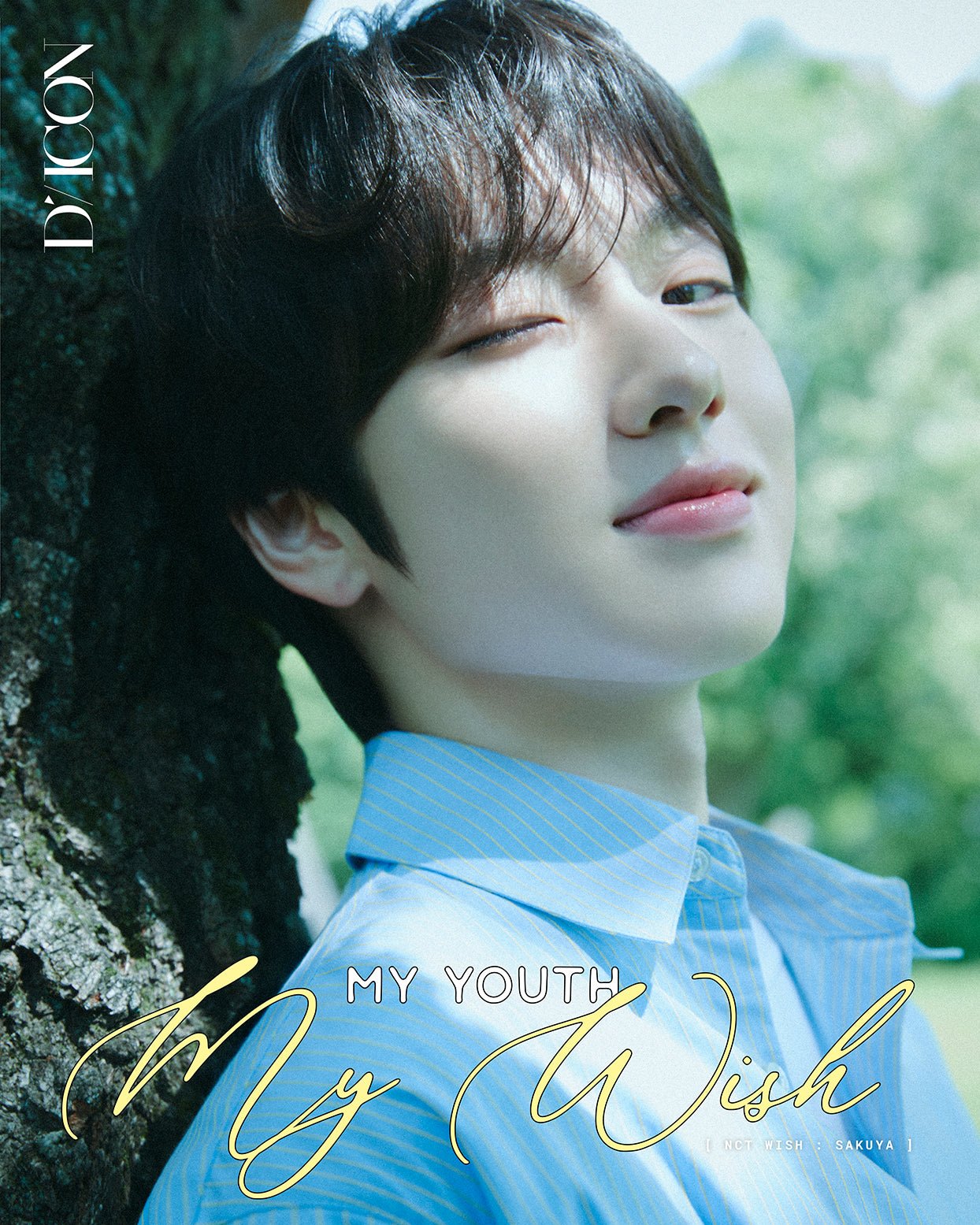 DICON VOLUME N°29 NCT WISH MY YOUTH MY WISH - Cover : NCT WISH SAKUYA TYPE A
